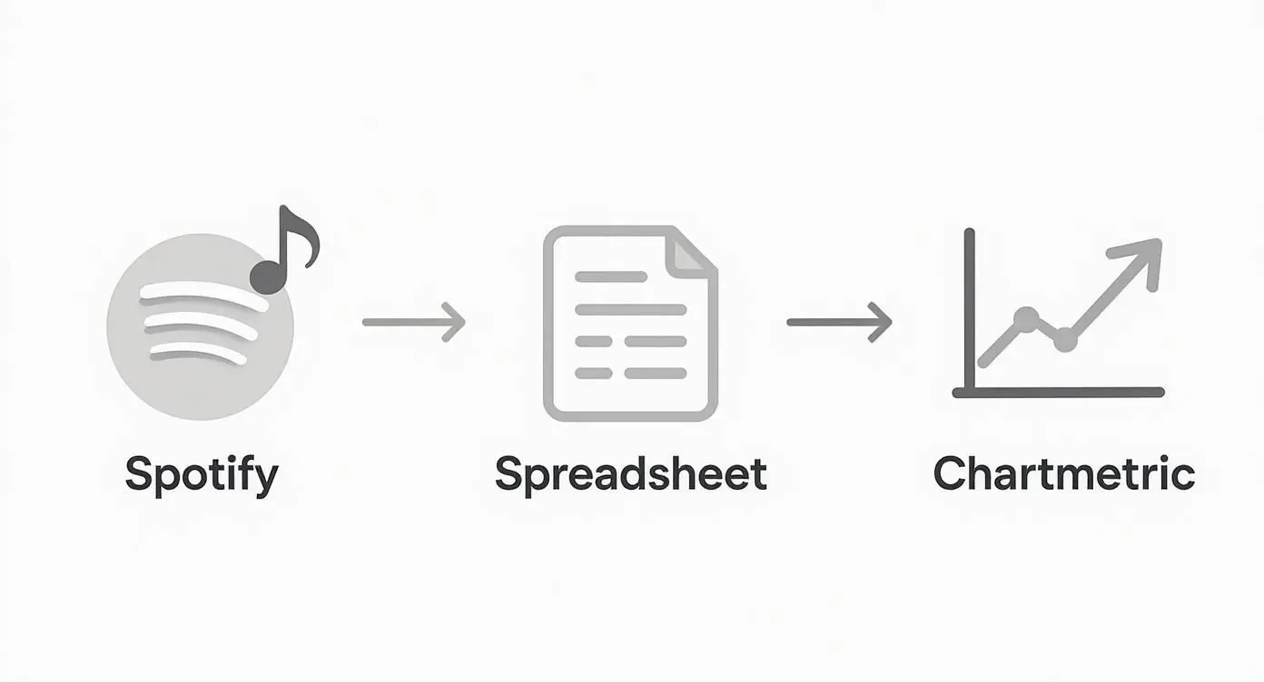 Diagram showing Spotify data moving to a spreadsheet and then Chartmetric for listener trend analysis.